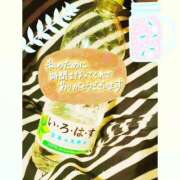 ヒメ日記 2025/08/31 23:28 投稿 しおん 茨城水戸ちゃんこ