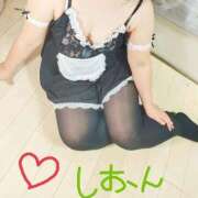 ヒメ日記 2025/09/05 11:15 投稿 しおん 茨城水戸ちゃんこ