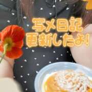 ヒメ日記 2025/09/07 19:05 投稿 しおん 茨城水戸ちゃんこ