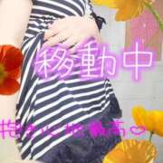 ヒメ日記 2025/09/10 11:05 投稿 しおん 茨城水戸ちゃんこ