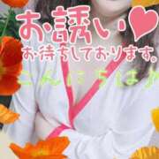 ヒメ日記 2025/09/11 11:15 投稿 しおん 茨城水戸ちゃんこ