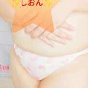 ヒメ日記 2025/09/11 12:25 投稿 しおん 茨城水戸ちゃんこ