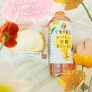 ヒメ日記 2025/10/04 18:05 投稿 しおん 茨城水戸ちゃんこ