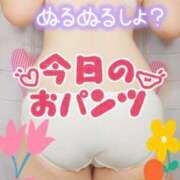 ヒメ日記 2025/10/20 12:25 投稿 しおん 茨城水戸ちゃんこ