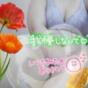 ヒメ日記 2025/10/25 12:45 投稿 しおん 茨城水戸ちゃんこ