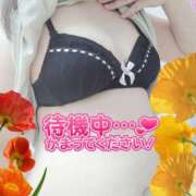 ヒメ日記 2025/10/26 16:10 投稿 しおん 茨城水戸ちゃんこ