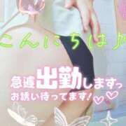 ヒメ日記 2025/11/06 18:05 投稿 しおん 茨城水戸ちゃんこ