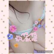 ヒメ日記 2025/11/14 12:25 投稿 しおん 茨城水戸ちゃんこ