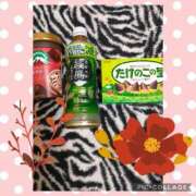 ヒメ日記 2025/11/14 17:05 投稿 しおん 茨城水戸ちゃんこ