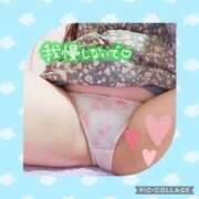 ヒメ日記 2025/11/21 12:25 投稿 しおん 茨城水戸ちゃんこ