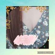 ヒメ日記 2025/11/28 17:55 投稿 しおん 茨城水戸ちゃんこ