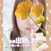 ヒメ日記 2025/12/27 19:35 投稿 しおん 茨城水戸ちゃんこ