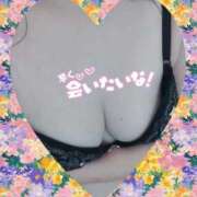 ヒメ日記 2025/12/28 18:45 投稿 しおん 茨城水戸ちゃんこ