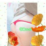 ヒメ日記 2025/12/28 21:25 投稿 しおん 茨城水戸ちゃんこ