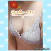 ヒメ日記 2026/01/22 14:18 投稿 しおん 茨城水戸ちゃんこ