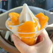 ヒメ日記 2026/01/26 16:35 投稿 しおん 茨城水戸ちゃんこ