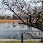 ヒメ日記 2026/03/22 17:58 投稿 りんか【史嬢最高のキス魔】 STELLA TOKYO－ステラトウキョウ－