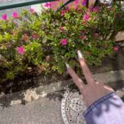 ヒメ日記 2026/04/11 12:12 投稿 りんか【史嬢最高のキス魔】 STELLA TOKYO－ステラトウキョウ－