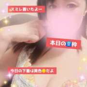 ヒメ日記 2025/09/10 11:36 投稿 北乃 ゆうり SUMIRE