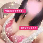 ヒメ日記 2026/02/19 08:15 投稿 北乃 ゆうり SUMIRE