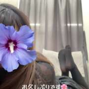 ヒメ日記 2025/03/27 15:31 投稿 宮崎 熟女待機所 厚木店