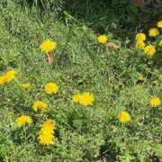 ヒメ日記 2025/06/30 14:57 投稿 こころ 逆痴漢