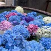 ヒメ日記 2025/07/27 14:45 投稿 こころ 逆痴漢