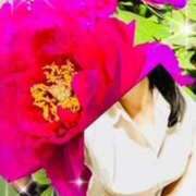 ヒメ日記 2025/04/14 20:47 投稿 三田 変態美熟女お貸しします。