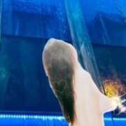 ヒメ日記 2025/05/24 01:57 投稿 三田 変態美熟女お貸しします。