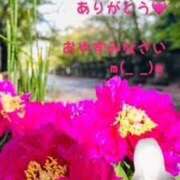 ヒメ日記 2025/06/15 22:57 投稿 三田 変態美熟女お貸しします。