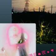 ヒメ日記 2025/10/07 19:17 投稿 三田 変態美熟女お貸しします。