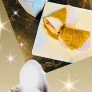 三田 欲しがりなの？？？ 変態美熟女お貸しします。