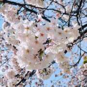 ヒメ日記 2026/04/01 21:22 投稿 Reina(レイナ) メルビス＆アトリアーナ