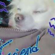 ヒメ日記 2025/01/02 17:22 投稿 りさ ギン妻パラダイス 十三店