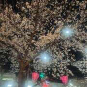 ヒメ日記 2025/04/05 01:04 投稿 りさ ギン妻パラダイス 十三店