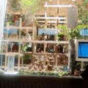 ヒメ日記 2025/04/11 16:41 投稿 りさ ギン妻パラダイス 十三店