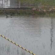 ヒメ日記 2025/05/26 09:35 投稿 りさ ギン妻パラダイス 十三店