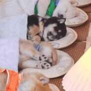 ヒメ日記 2025/05/26 20:40 投稿 りさ ギン妻パラダイス 十三店