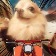 ヒメ日記 2025/06/01 13:59 投稿 りさ ギン妻パラダイス 十三店