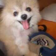 ヒメ日記 2025/08/01 16:49 投稿 りさ ギン妻パラダイス 十三店