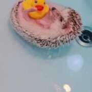 ヒメ日記 2025/08/04 20:21 投稿 りさ ギン妻パラダイス 十三店