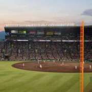 ヒメ日記 2025/08/31 18:37 投稿 りさ ギン妻パラダイス 十三店