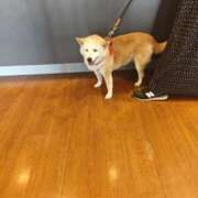 ヒメ日記 2025/09/19 17:10 投稿 りさ ギン妻パラダイス 十三店