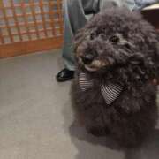 ヒメ日記 2025/11/08 13:25 投稿 りさ ギン妻パラダイス 十三店