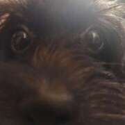 ヒメ日記 2025/12/01 15:41 投稿 りさ ギン妻パラダイス 十三店