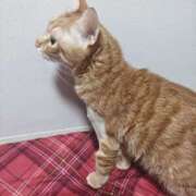 ヒメ日記 2025/12/27 13:29 投稿 りさ ギン妻パラダイス 十三店