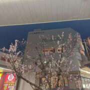 ヒメ日記 2026/03/25 21:02 投稿 りさ ギン妻パラダイス 十三店