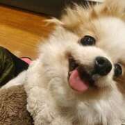 ヒメ日記 2026/03/28 20:37 投稿 りさ ギン妻パラダイス 十三店