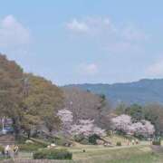 ヒメ日記 2026/04/03 16:02 投稿 りさ ギン妻パラダイス 十三店