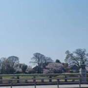 ヒメ日記 2026/04/18 18:35 投稿 りさ ギン妻パラダイス 十三店